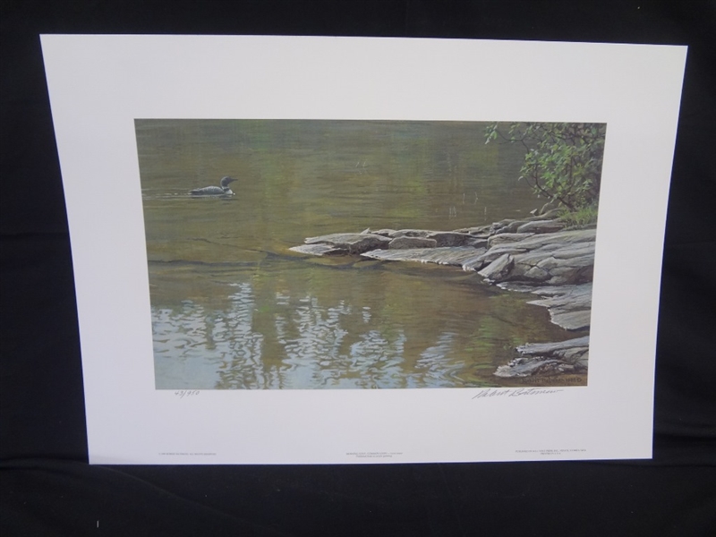 Robert Bateman "Common Loon" Signed Lithograph