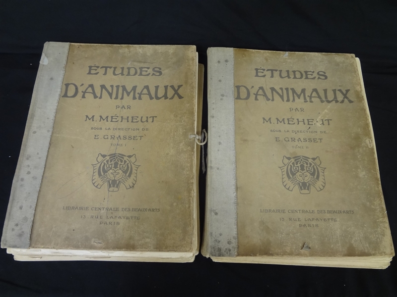 Etudes Danimaux Par M. Meheut Volumes I and II Paris 1919