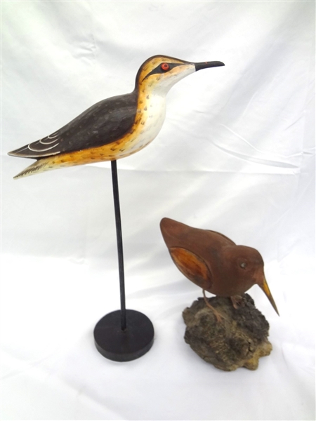 (2) Water Bird Hand Carved and Painted Decoys
