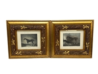 Pair Horse Prints in Stunning Matching Carved Chunky Gilt Frames
