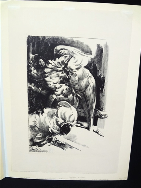 Henry Keller Lithograph "Cockatoos and Parrot" Unframed