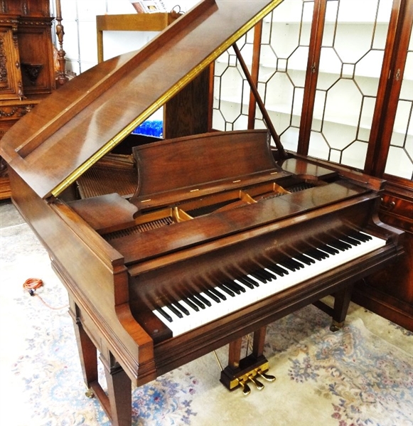 Steinway and Sons 1927 Model A #255093 Duo-Art Aeolian Reproducing Grand Piano