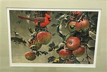 Robert Bateman "Cardinal and Wild Apples" Signed and Numbered Lithograph