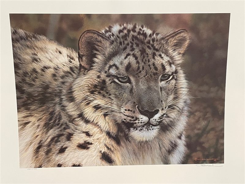 Carl Brenders Snow Leopard Portrait Signed and Numbered Lithograph