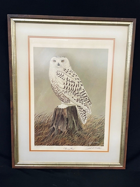 Snowy Owl John Ruthven Lithograph