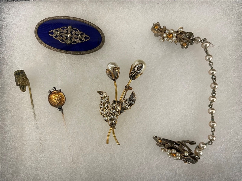 Group of Victorian Jewelry: Chatelaine, Brooches, Stick Pins