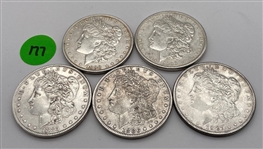 Philadelphia Mint Morgan Silver Dollar Lot (177)