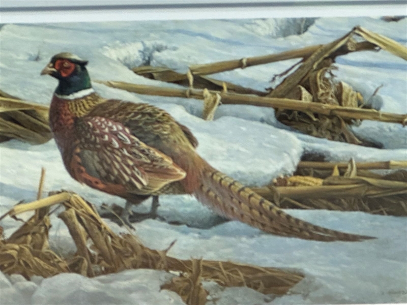 Robert Bateman "Pheasant in Cornfield" Signed and Numbered Publishers Proof