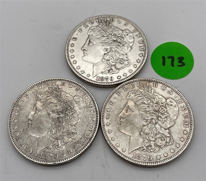 1879-P Morgan Silver Dollar Lot (174)