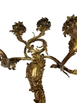 Pair Monumental 19th c. French Gilt Bronze 5 Arm Wall Sconces 27” x 24”
