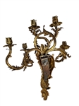 Pair Monumental 19th c. French Gilt Bronze 5 Arm Wall Sconces 27” x 24”