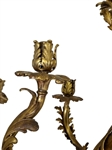Pair Monumental 19th c. French Gilt Bronze 5 Arm Wall Sconces 27” x 24”
