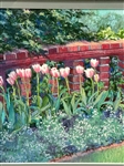 Barbara Hails Pastel on Ground Glass Board: Tulip Wall I