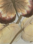 (2) Lengel-Schneerer Butterfly Paintings on Silk