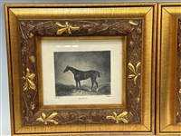 Pair Horse Prints in Stunning Matching Carved Chunky Gilt Frames