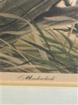 John Ruthvan Meadowlark Lithograph S/N