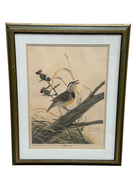 John Ruthvan "Meadowlark" Lithograph S/N