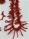 Group of Coral Jewelry