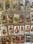 (327) 1880's Cigarette Cards