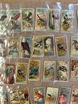 (327) 1880's Cigarette Cards