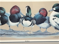 Art LaMay The Divers Duck S/N Lithgograph