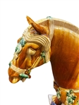 Large Tri-Color Glazed Ceramic Terra Cotta Sancai Horse