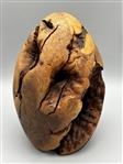 Manzanita Burl Wood Carved Egg Signed M. Conteze