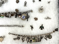 Sterling Silver Charm Bracelets and Charms