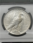 1923-D Peace Silver Dollar NGC MS62