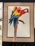 Group of Bird Paintings