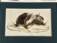 Group of Bird Paintings