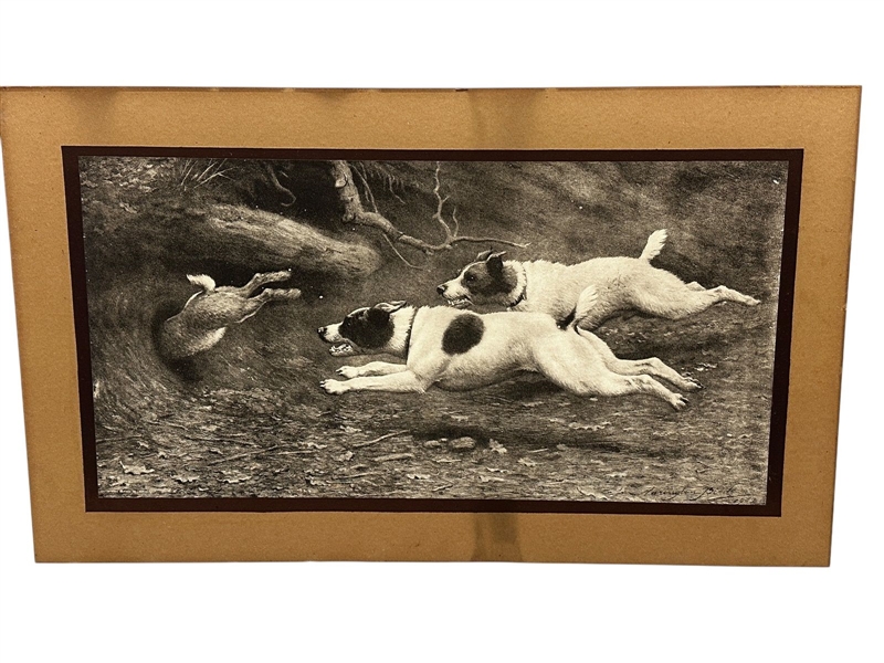 Harrington Bird Early Lithograph Terriers Chasing Rabbit