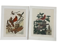 (2) John Ruthven Signed Lithographs Cardinals, Cardinals III