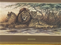 Kim Brooks S/N Lithograph Amber Glow