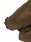 Contemporary Bronze Torso Sculpture Signed