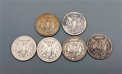 Group of (6) 1896 Morgan Silver Dollars