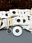 Group of (287) Indian Head Pennies