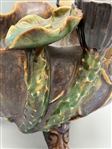 Majolica Free Form Pottery Bowl With Kingfisher, Plants and Frog.