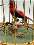 Karl Griesbaum Bird Automaton in Working Condition