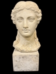 Roman Marble Head of a Woman on Marble Plinth