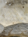 Roman Marble Head of a Woman on Marble Plinth