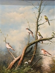 Oil on Canvas Songbirds in Tree Signed Sonje