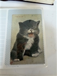 154 (2) Photo Albums With TOC Postcards; Leather, Borders, Black Americana, Holidays