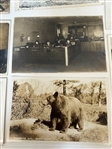 200+ Real Photo Postcards