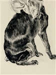 Miniature Pinscher Dog Engraving 