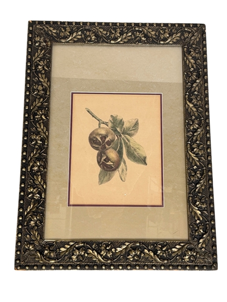 Hand Tinted Engraving Fruit: 