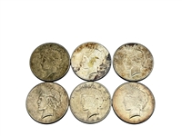 Group of (6) 1925-P Peace Silver Dollars