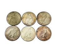 Group of (6) 1925-P Peace Silver Dollars