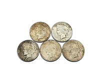 Group of (5) Peace Silver Dollars