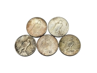 Group of (5) Peace Silver Dollars